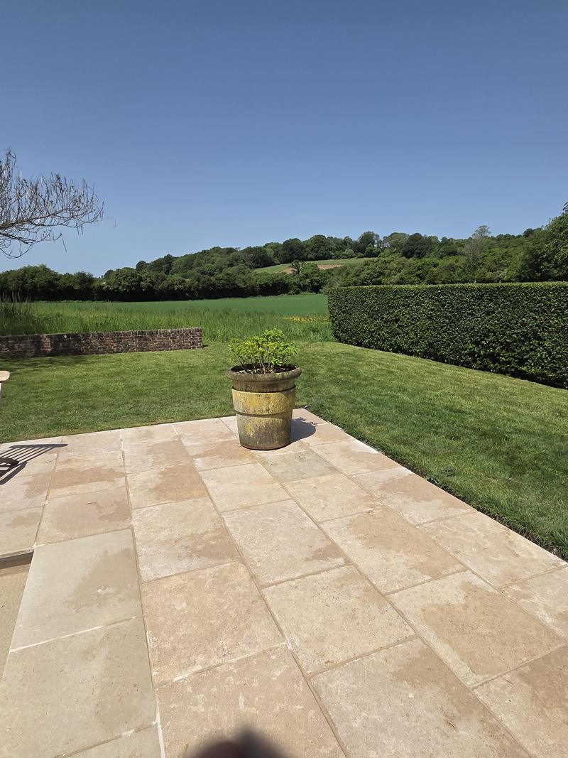 Sandstone terrace and lawn with a planted pot, the pool edge just in frame